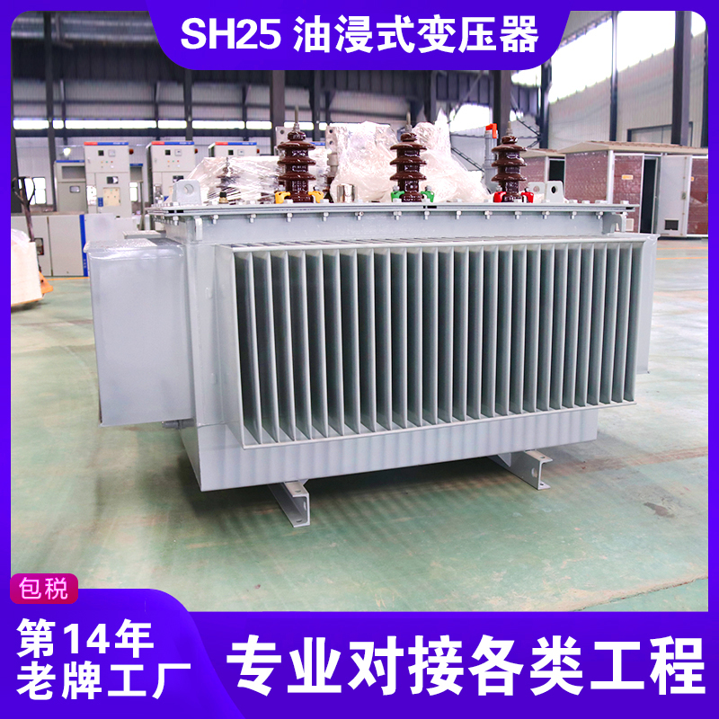 SH25油浸式變壓器 SH25油浸式變壓器
